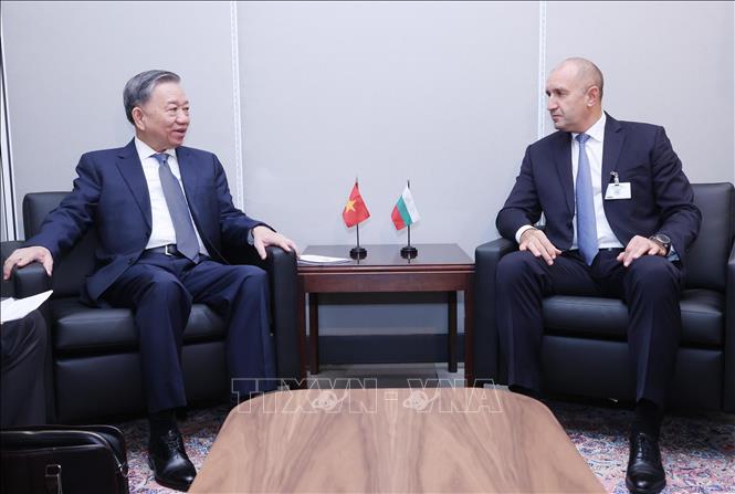 Tổng Bí thư, Chủ tịch nước Tô Lâm gặp lãnh đạo các nước