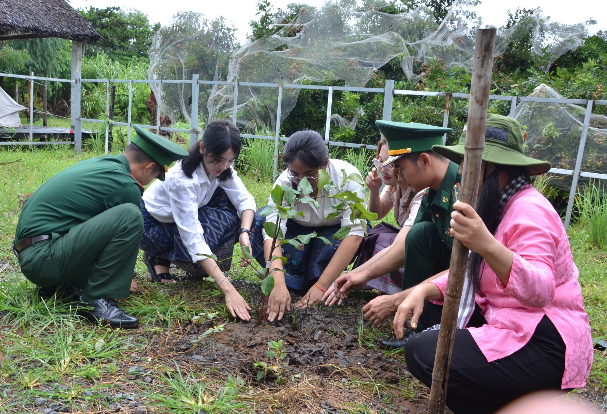 Sinh viên Lào, Campuchia trải nghiệm thực tế “Một ngày làm nông dân”