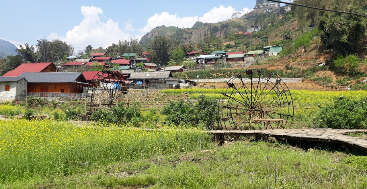 Một thoáng Cát Cát