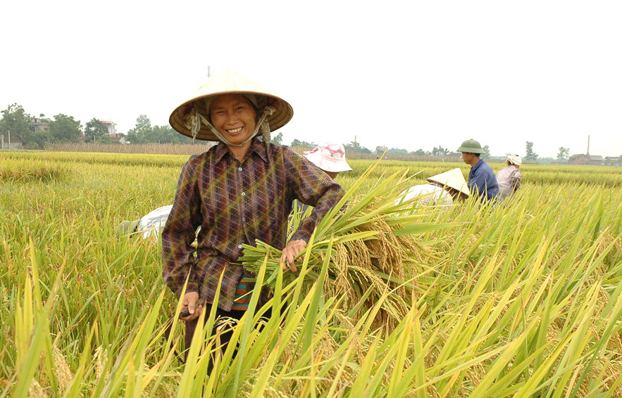 [Megastory] Bài 3  Chính thức hoá lao động phi chính thức