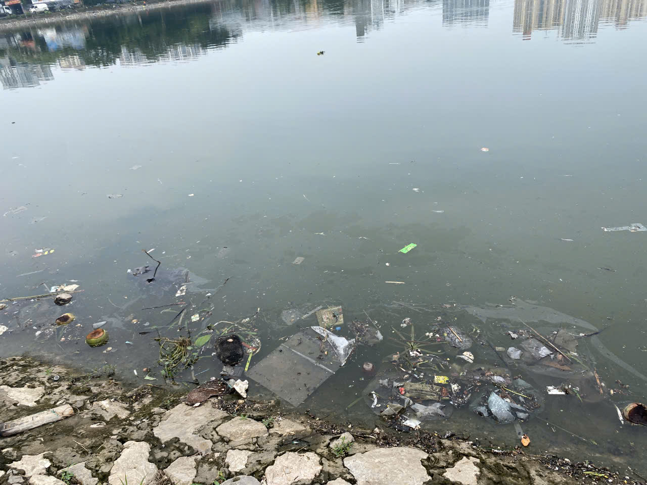 Inforgraphic  Nguyên nhân gây ô nhiễm tại các hồ điều hòa ở Hà Nội