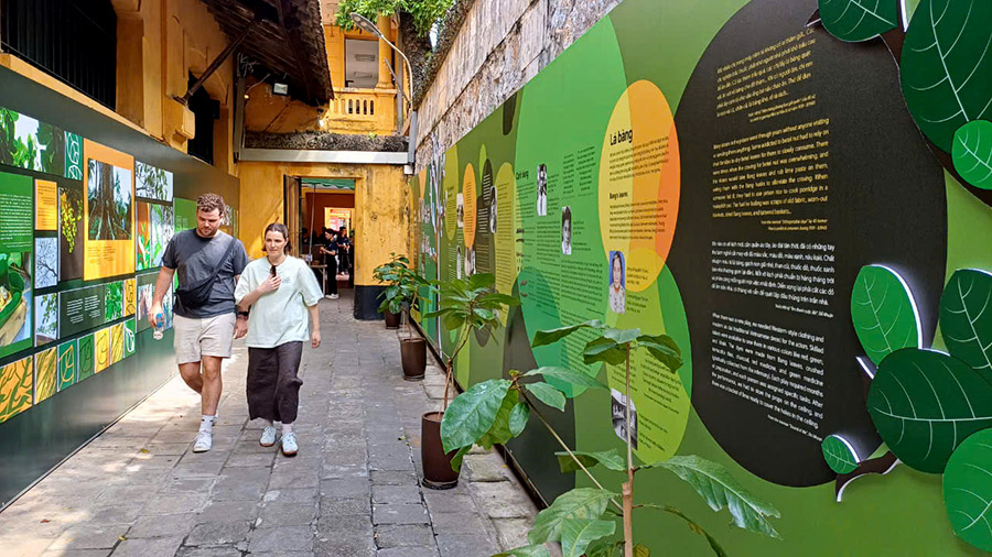 Trưng bày chuyên đề “Bàng ơi ”