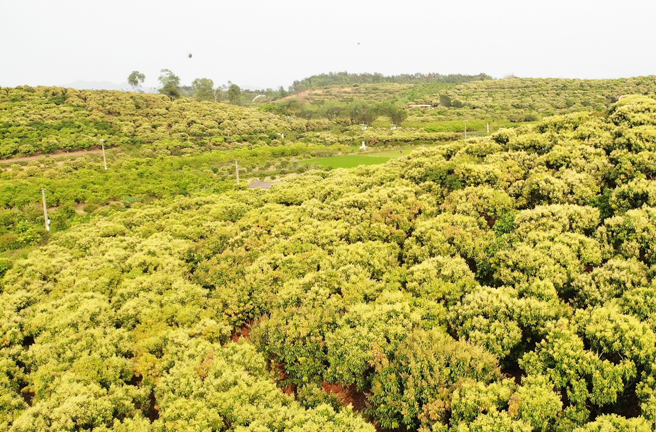 Bắc Giang Chủ động xây dựng kịch bản tăng trưởng kinh tế những tháng cuối năm 2024