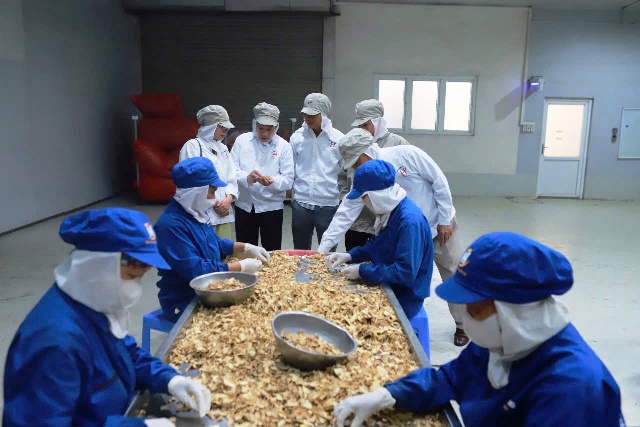 Chương trình Tự hào Nông dân Việt Nam năm 2024 sẽ diễn ra ngày 13 - 14 10