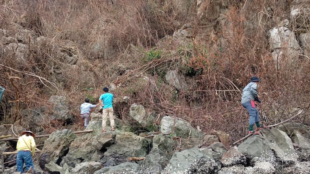 Vịnh Hạ Long trơ trụi sau cơn thịnh nộ của bão Yagi