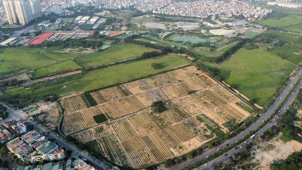 Công dân có được từ chối giao đất khi thấy đền bù không thỏa đáng