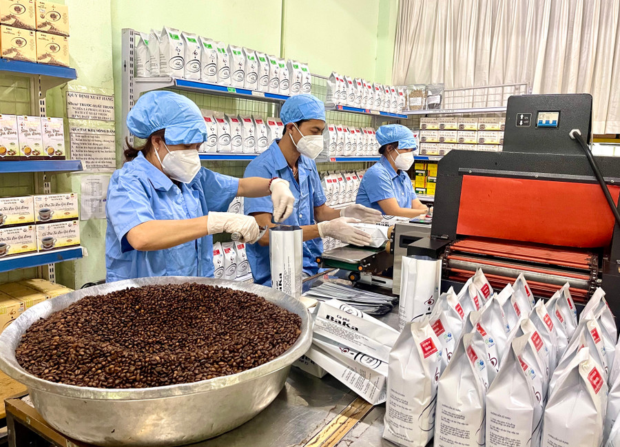 Gia Lai ưu tiên phát triển các ngành công nghiệp chế biến theo hướng xanh