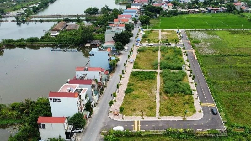 Thách thức từ bỏ cọc đấu giá