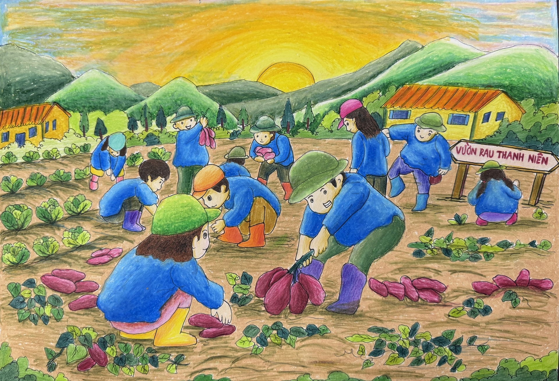 Vườn rau thanh niên giành giải Đặc biệt cuộc thi vẽ tranh dành cho thiếu nhi
