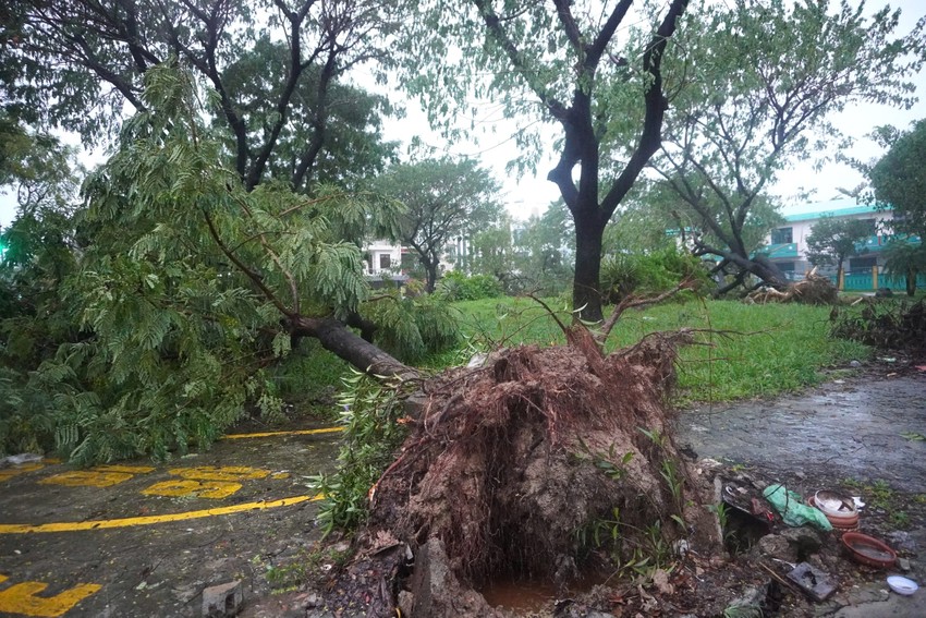 Bão Trà Mi quét qua miền Trung Nhà tốc mái, đường ngập, cây đổ