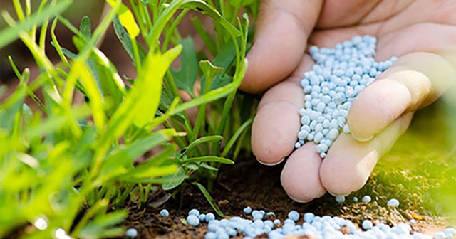 Có nên áp thuế giá trị gia tăng 5 với phân bón