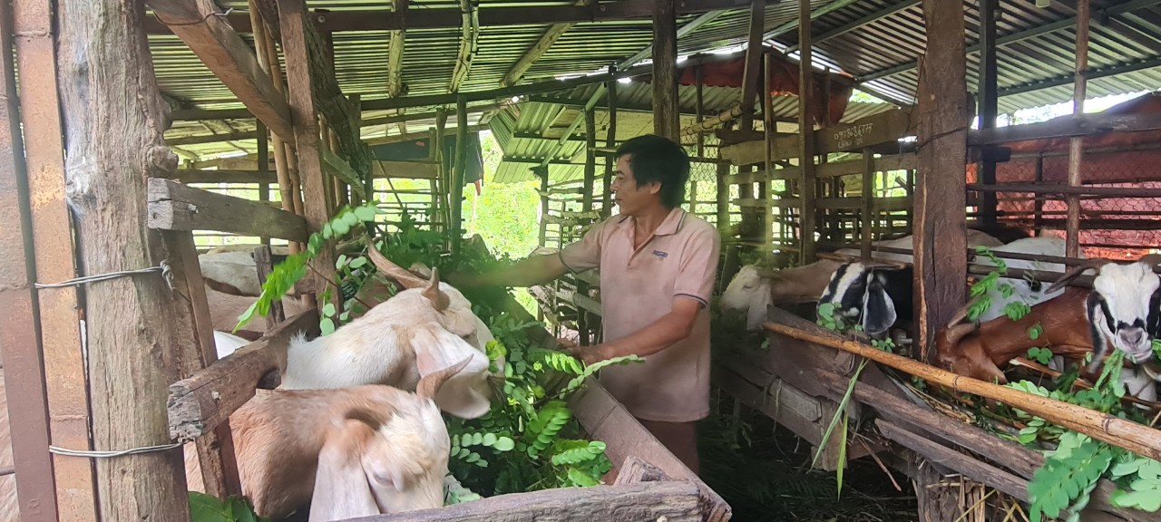 Kinh tế Hậu Giang đạt trên 80 chỉ tiêu kế hoạch đề ra