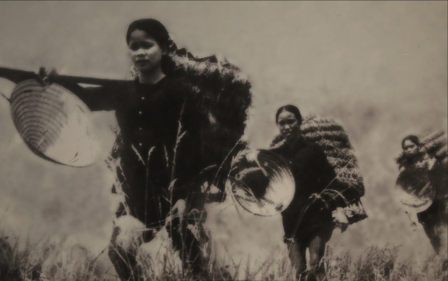 Ngày này năm xưa 11 11