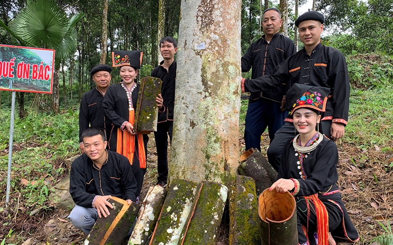 Đồng bào các dân tộc thiểu số tỉnh Yên Bái đoàn kết, tự lực, tự cường, nỗ lực vươn lên