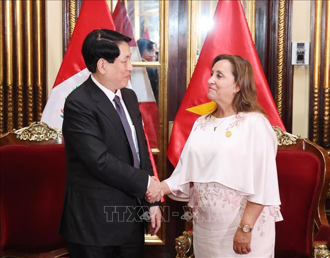 Thúc đẩy hơn nữa quan hệ hữu nghị và hợp tác nhiều mặt giữa Việt Nam và Peru