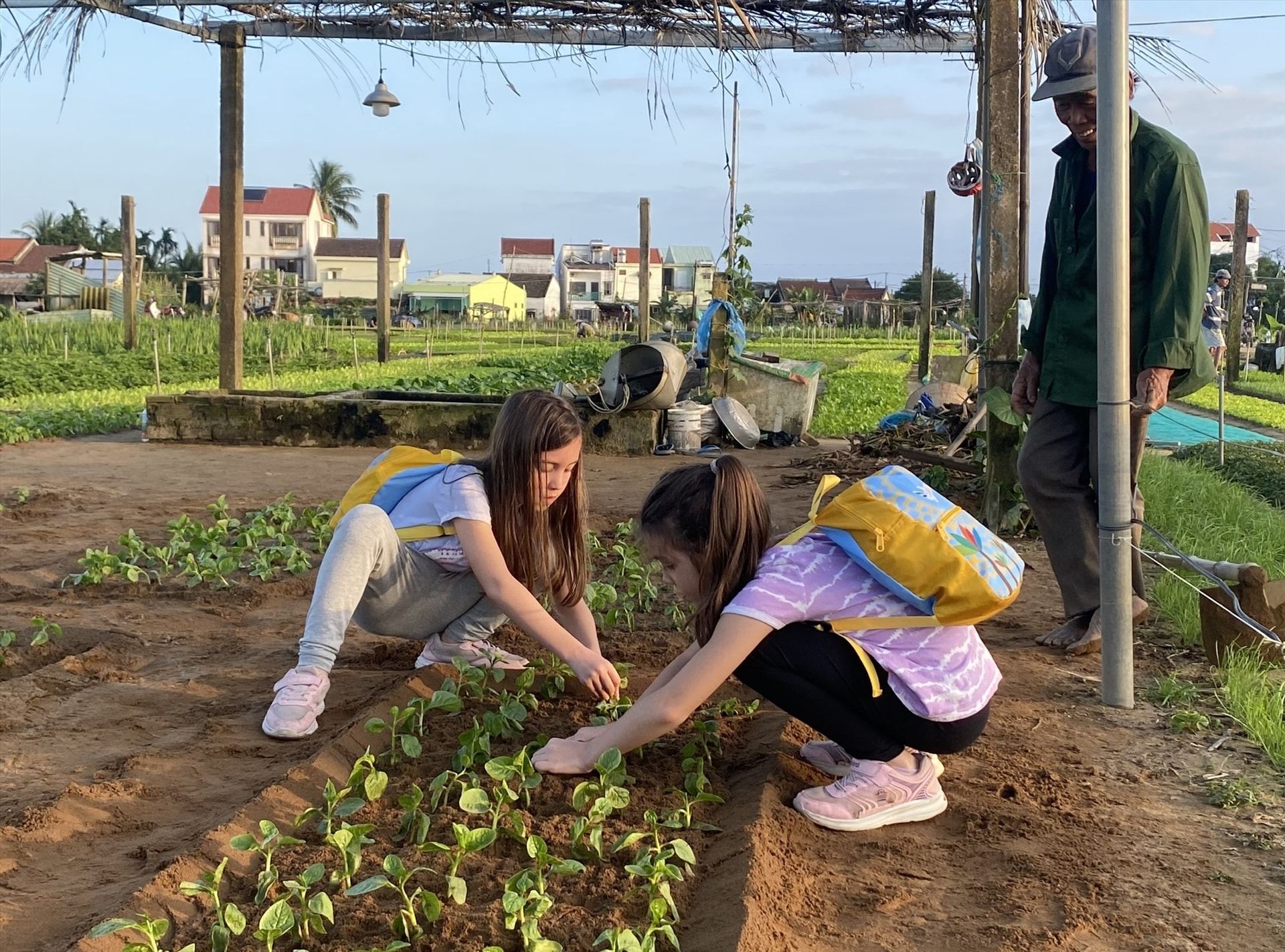 Làng rau Trà Quế Quảng Nam được công nhận Làng Du lịch tốt nhất năm 2024