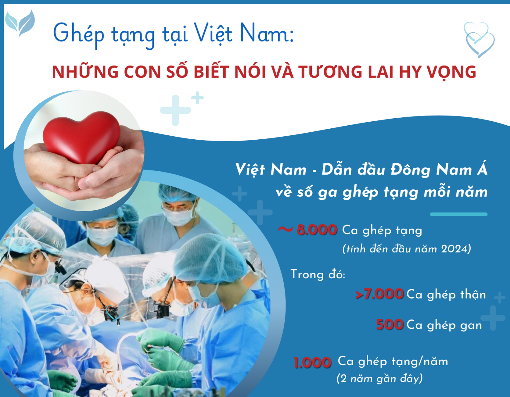 [Infographic] Ghép tạng tại Việt Nam Những con số biết nói và tương lai hy vọng