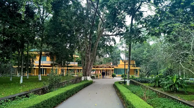 Khu di tích, Bảo tàng Hồ Chí Minh với công tác tuyên truyền, giáo dục thân thế, sự nghiệp của Người