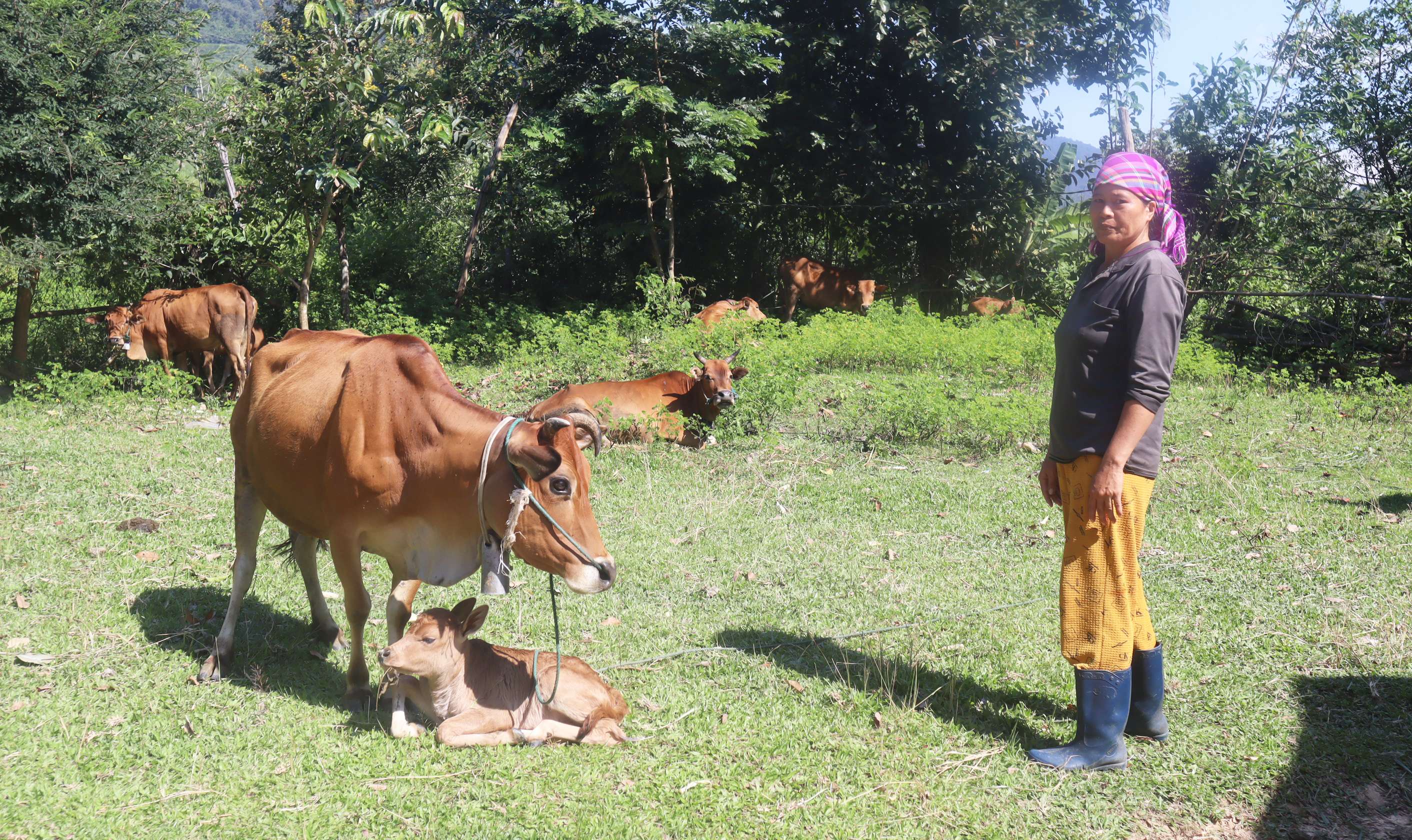 Tập trung nguồn lực giúp thoát nghèo cho đồng bào Đăk Glei