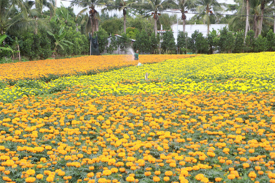 Bến Tre quyết tâm thực hiện thắng lợi Nghị quyết Đại hội XIII