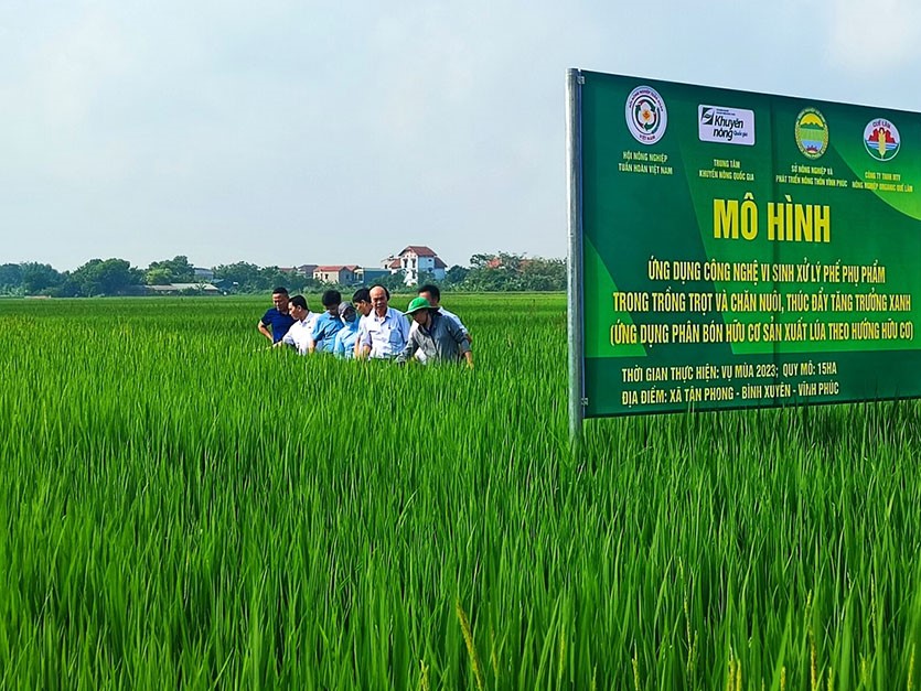 Vĩnh Phúc Hỗ trợ hơn 9,6 tỷ đồng phát triển nông nghiệp hữu cơ