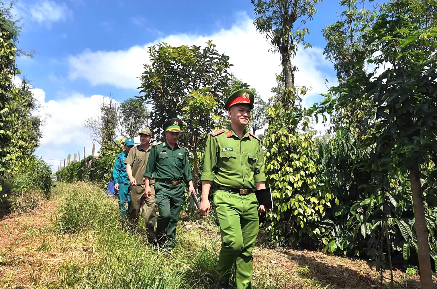 Giữ bình yên cho vụ mùa cà phê