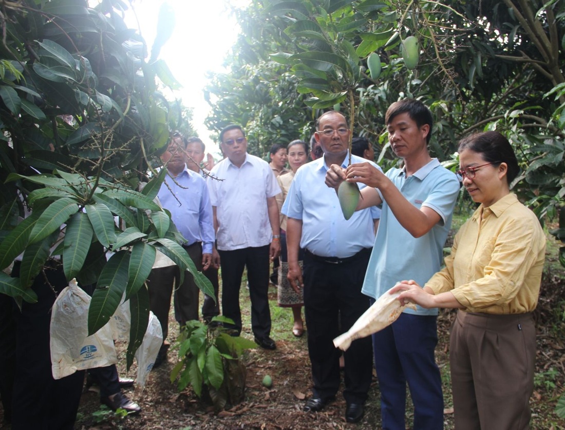 Sơn La tăng cường hợp tác lĩnh vực nông nghiệp với các tỉnh Bắc Lào