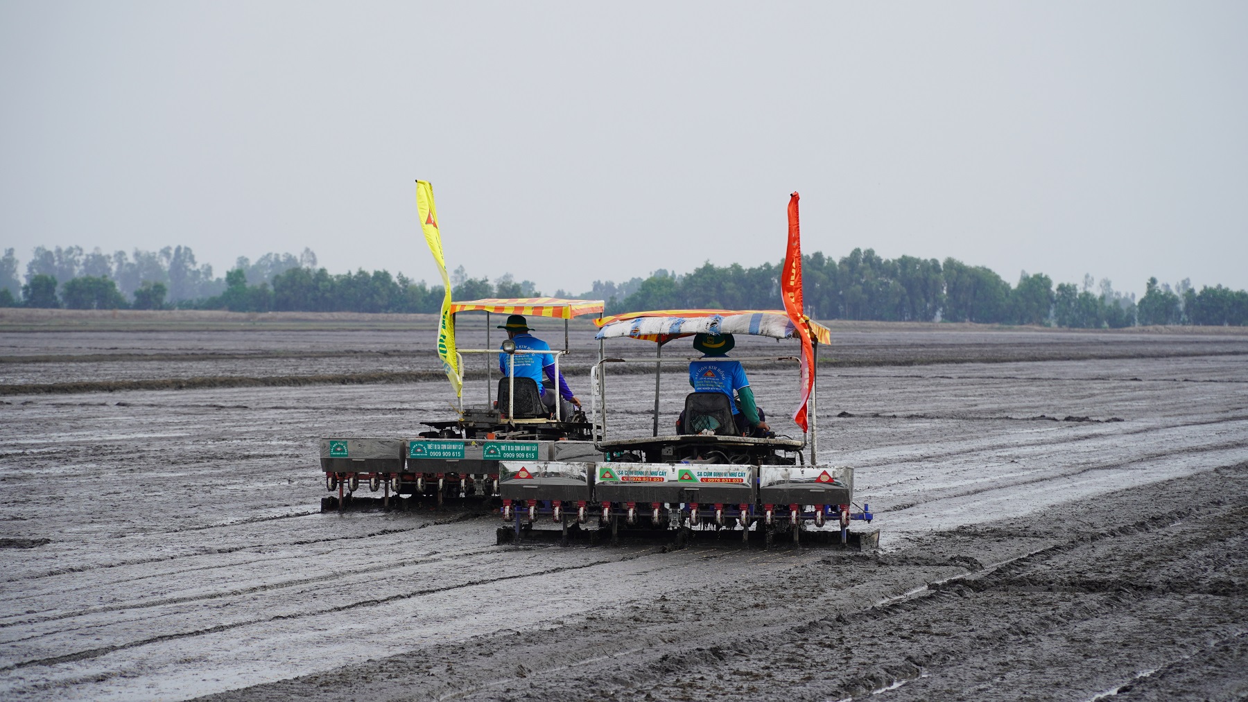 Giải pháp mở rộng vùng chuyên canh lúa chất lượng cao, phát thải thấp gắn với tăng trưởng xanh vùng Đồng bằng sông Cửu Long
