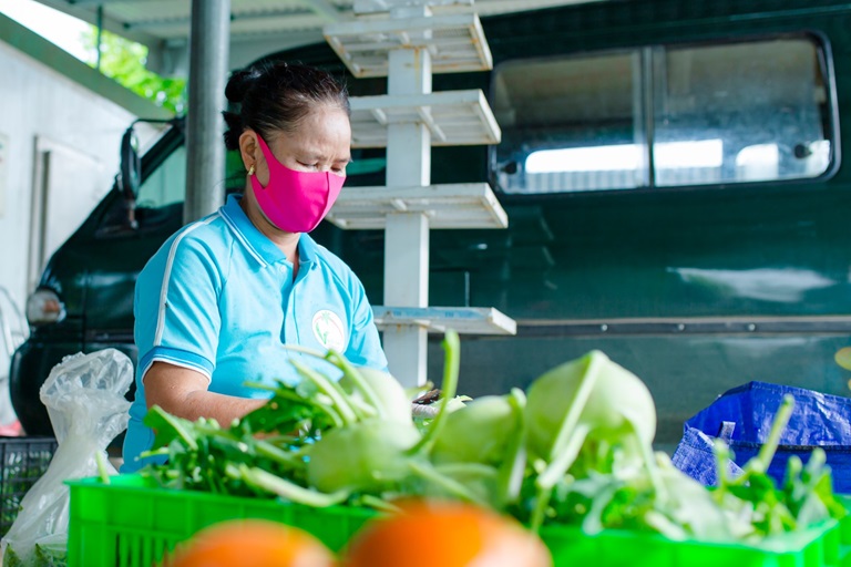 Vĩnh Phúc Thêm 32 cơ sở được cấp Giấy chứng nhận VietGAP