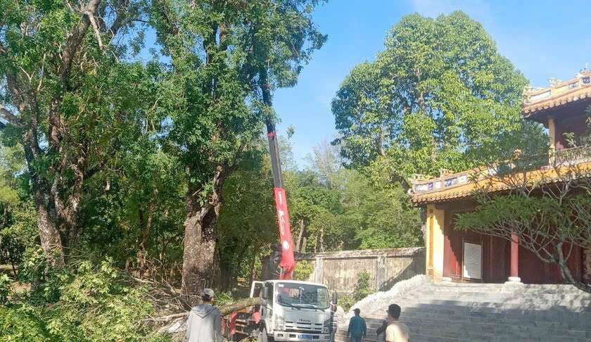Triển khai các phương án bảo vệ Di tích mùa mưa lũ