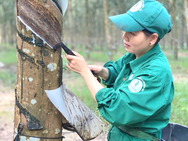 Bài 2 Chăm lo tốt đời sống cho người lao động