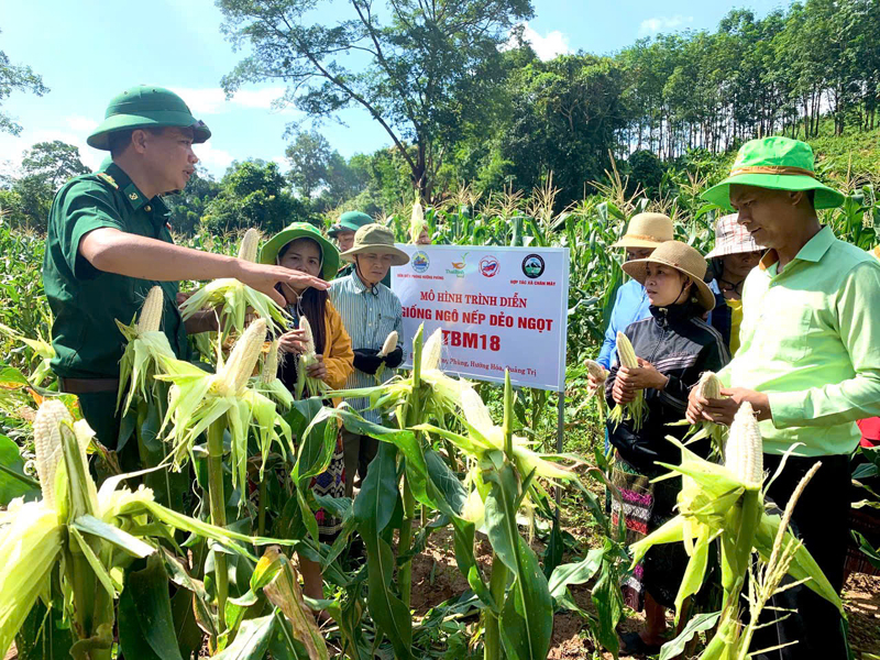 Sáng ngời phẩm chất Bộ đội Cụ Hồ