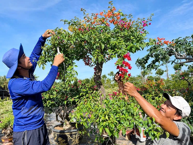 Điểm sáng nông thôn mới huyện Chợ Lách, tỉnh Bến Tre