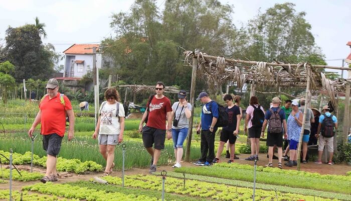 50 quốc gia tham dự Hội nghị quốc tế về Du lịch Nông thôn tại Việt Nam