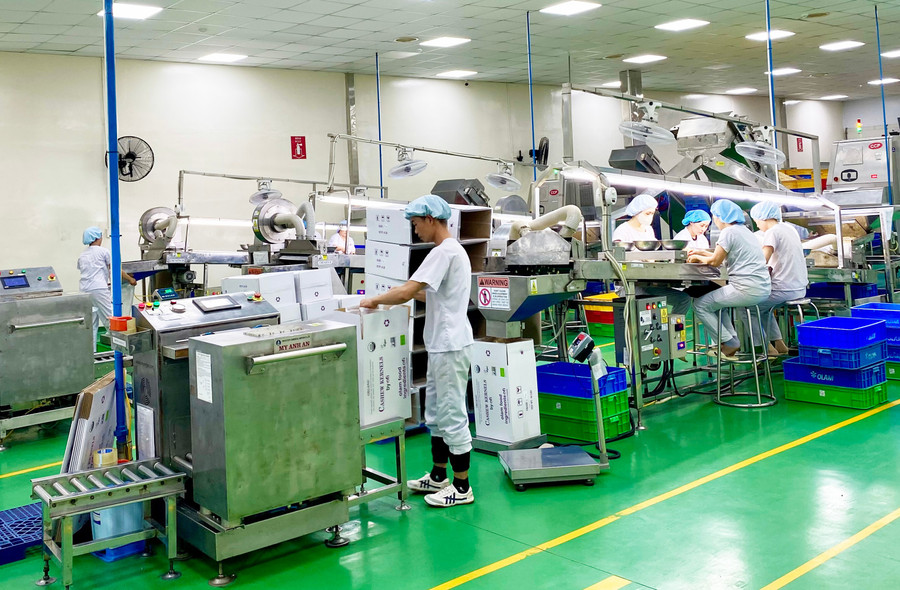 Gia Lai có 12 dự án FDI