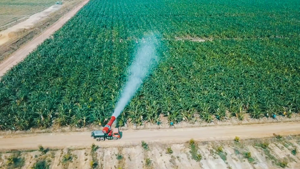 Phát triển nông nghiệp theo liên kết chuỗi giá trị từ sản xuất, chế biến đến tiêu thụ sản phẩm với quản trị hiện đại