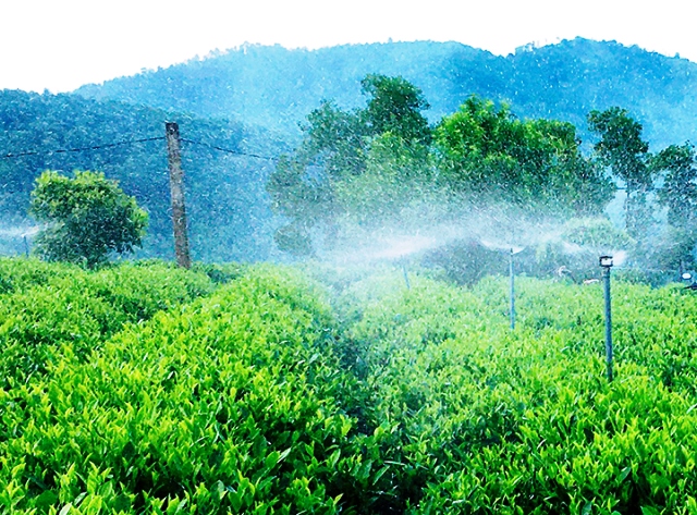 Thái Nguyên nỗ lực trong hành trình chuyển đổi xanh