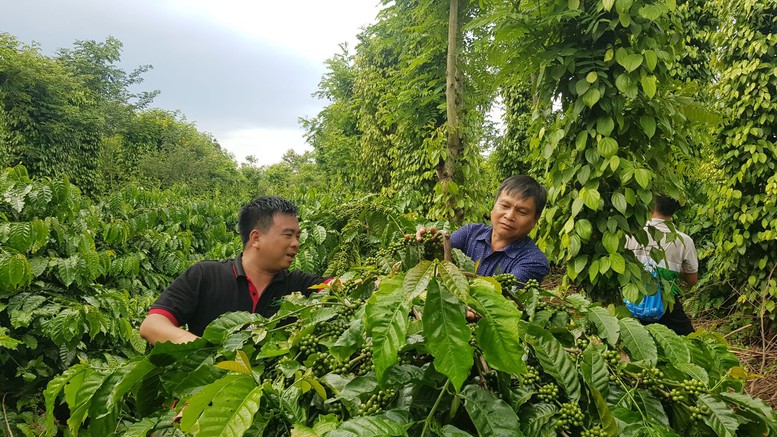 Đẩy mạnh Chiến lược quốc gia về tăng trưởng xanh giai đoạn 2021-2030