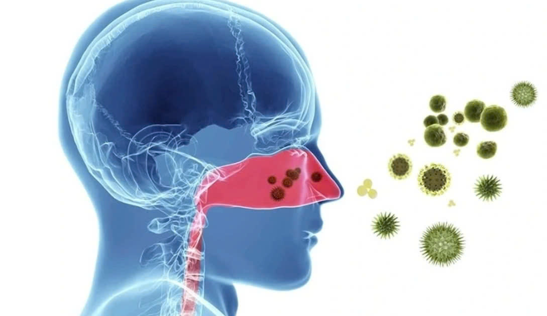 Bình Định Tăng cường phòng, chống dịch bệnh cúm A H1pdm