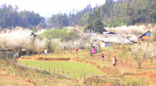 Bắc Hà Lào Cai phấn đấu đến năm 2030 đón 54 nghìn lượt khách quốc tế