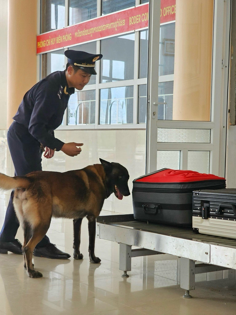Hải quan siết chặt kiểm soát, ngăn chặn buôn lậu dịp Tết Nguyên đán