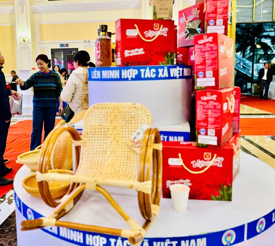 100 sản phẩm tiêu biểu của 100 hợp tác xã đạt giải thưởng Mai An Tiêm 2024