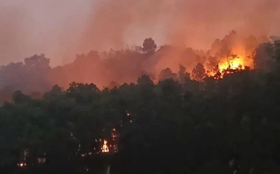 Đề nghị Công an vào cuộc điều tra các vụ cháy rừng tại Sóc Sơn