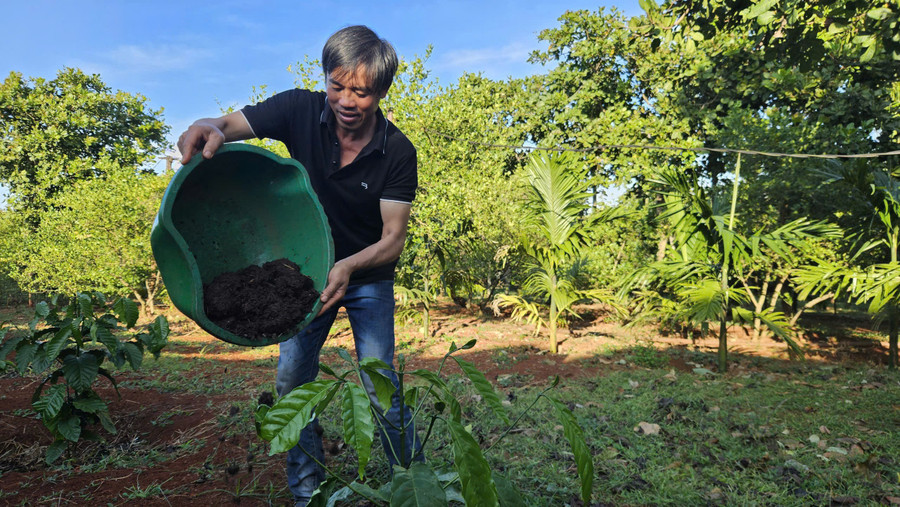 Gia Lai khuyến khích xử lý, tái sử dụng chất thải hữu cơ
