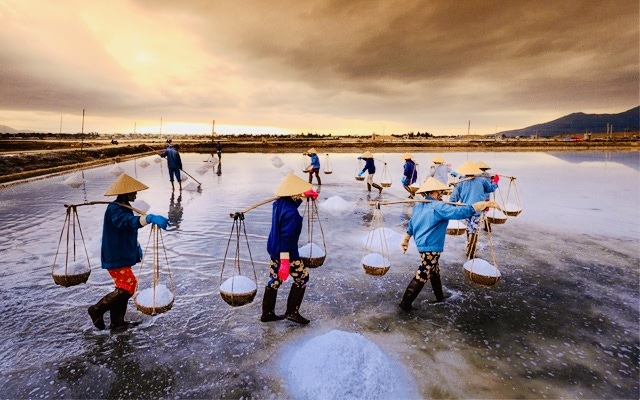 Lần đầu tiên sẽ diễn ra Festival nghề muối Việt Nam