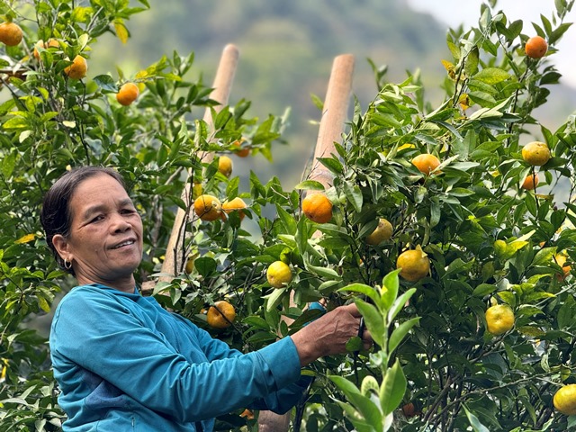 Bài 1 Nâng cao năng lực và hiệu quả hoạt động của NHCSXH tỉnh Lạng Sơn