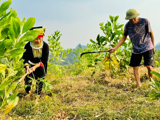 Bài 3 Bước đột phá trong ứng dụng công nghệ số vào quản lý tín dụng chính sách tại Lạng Sơn