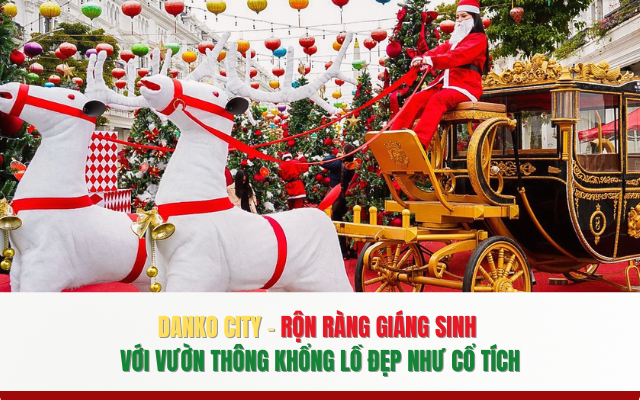 Danko City Rộn ràng Giáng sinh với vườn thông khổng lồ đẹp như cổ tích