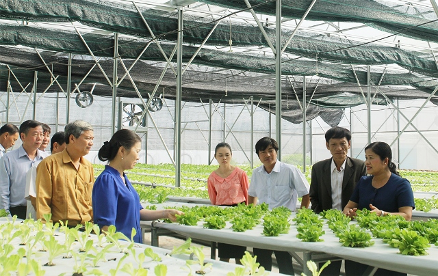 Cả nước có hơn 33 000 hợp tác xã