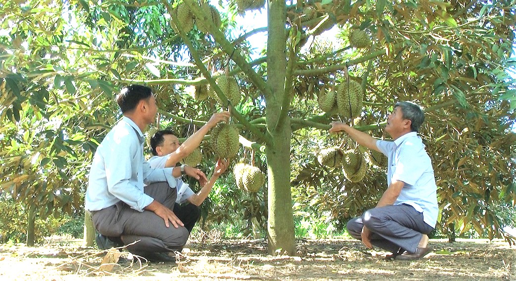 Cư Ni Những bước tiến vững chắc, toàn diện